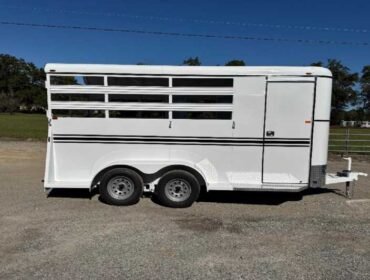 New 2026 Bee 3HBPSL 3 Horse Trailer with 2' Short Wall
